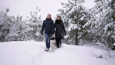 Hombre-Y-Mujer-Se-Divierten-Caminando-Con-Husky-Siberiano-En-El-Bosque-Invernal-Jugando-Y-Arrojando-Nieve